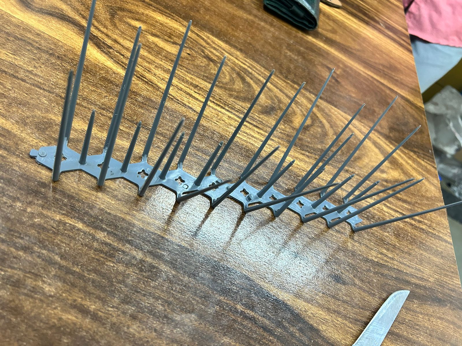 Bird Spikes Installation
